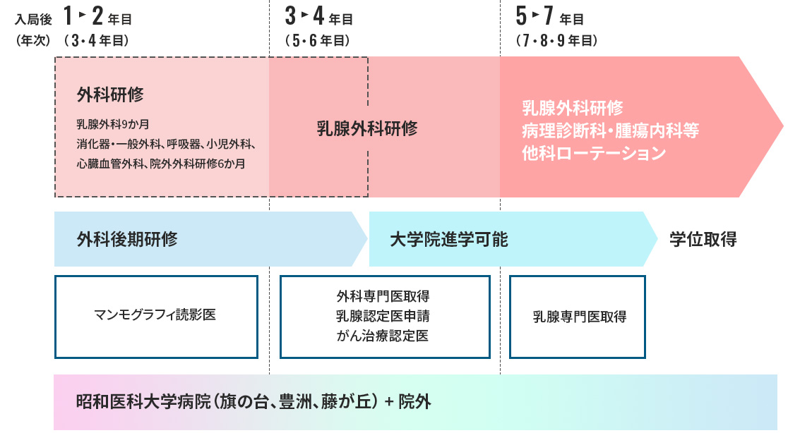 当院での研修（図）